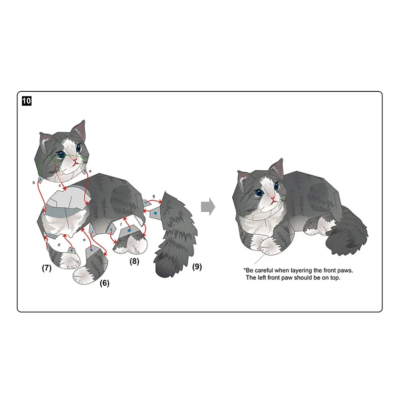 Norwegian Forest Cat Folding H - Art Craft Center ulasan dan harga