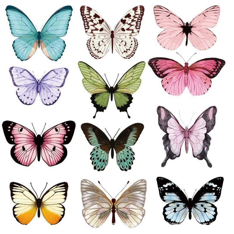 12pcs 3D Butterfly Wall Sticke - Art Craft Event ulasan dan harga